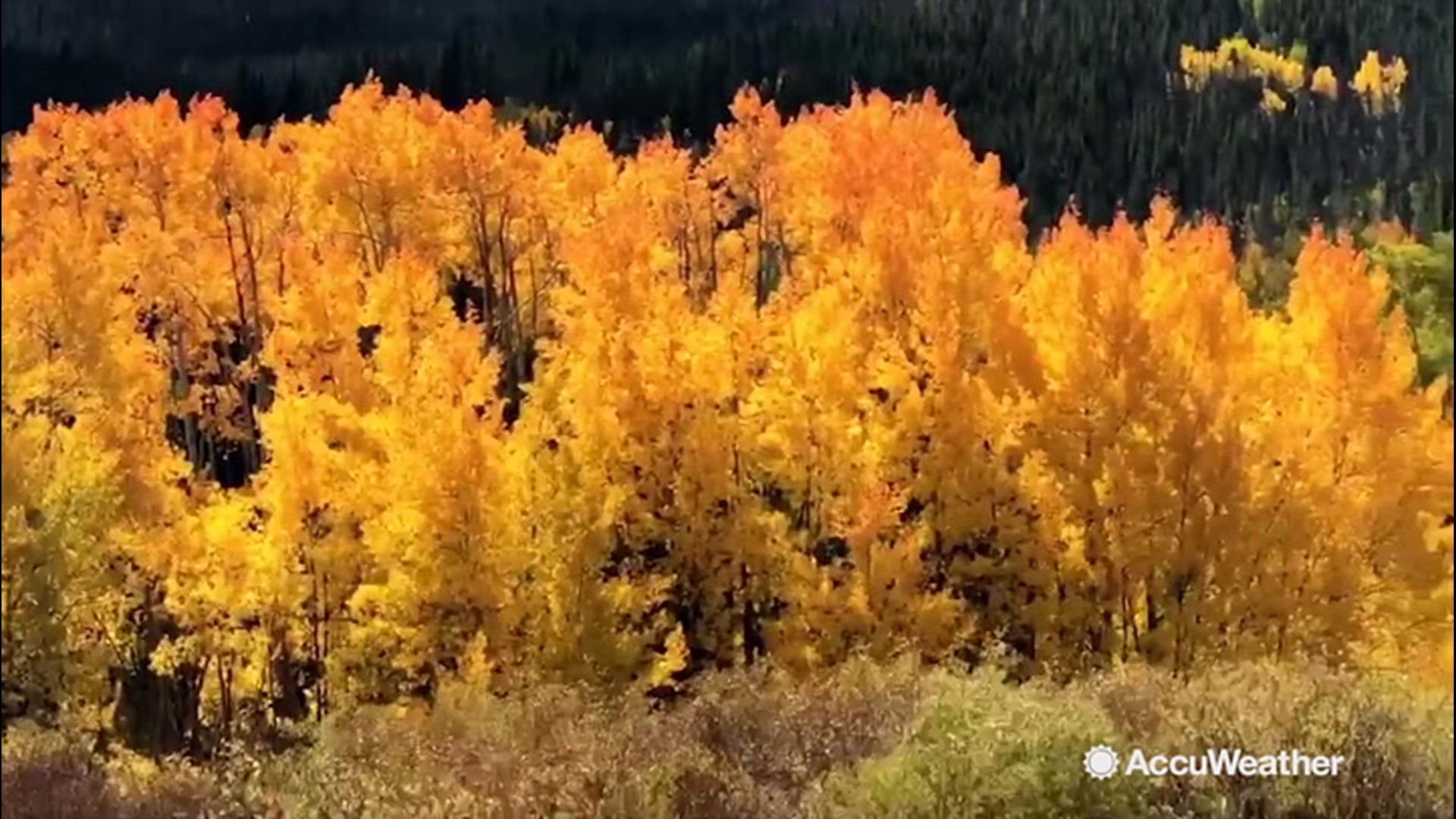 AccuWeather's Reed Timmer captured peak fall colors rollerblading from Copper Mountain to Breckenridge, Colorado, on Sept. 29. The wind was cranking with a strong trough dominating the western United States this past Sunday.