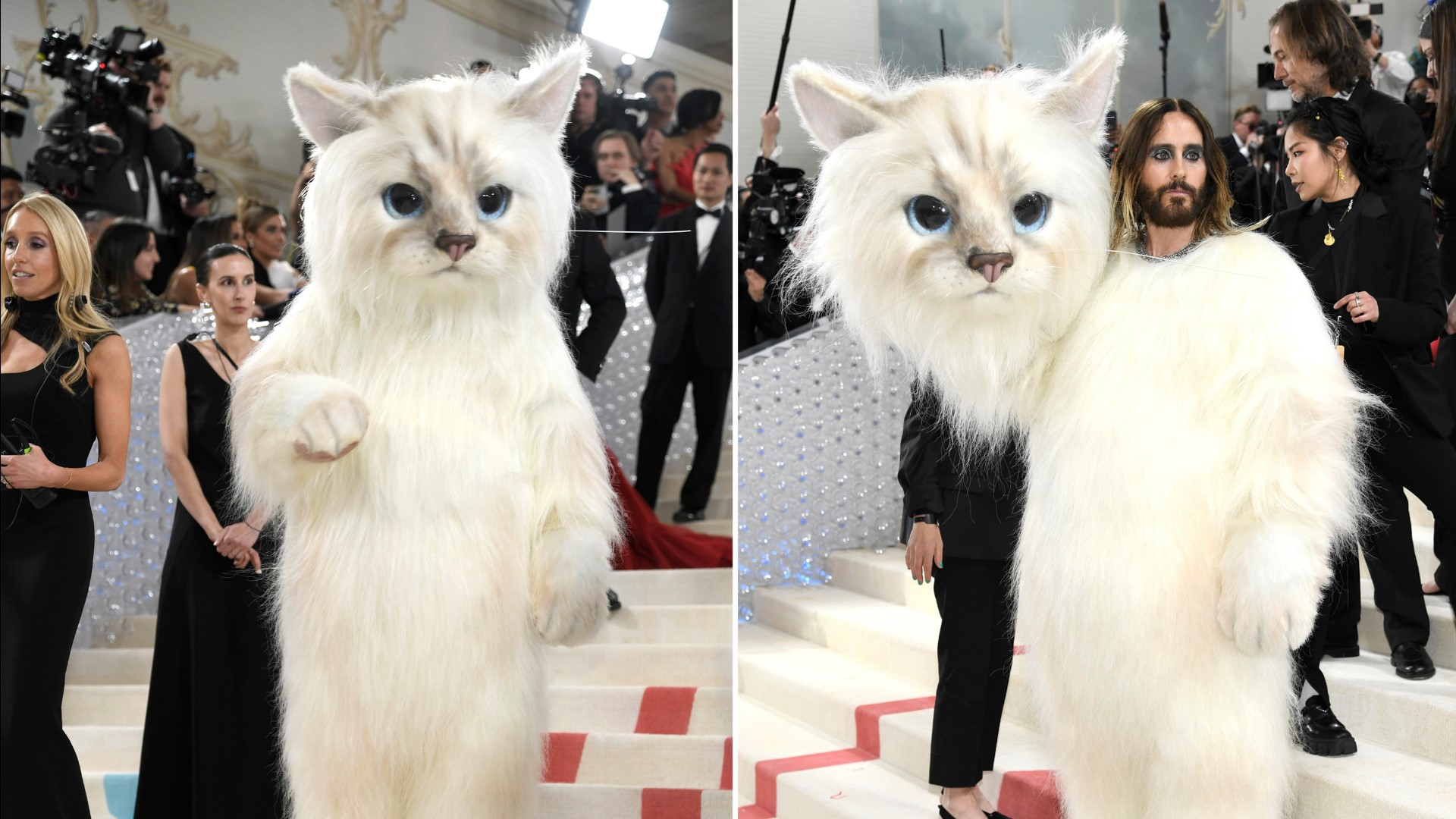 The cats have overrun the Met Gala with Jared Leto, Lil Nas X and Doja Cat turning to feline inspirations for their looks.