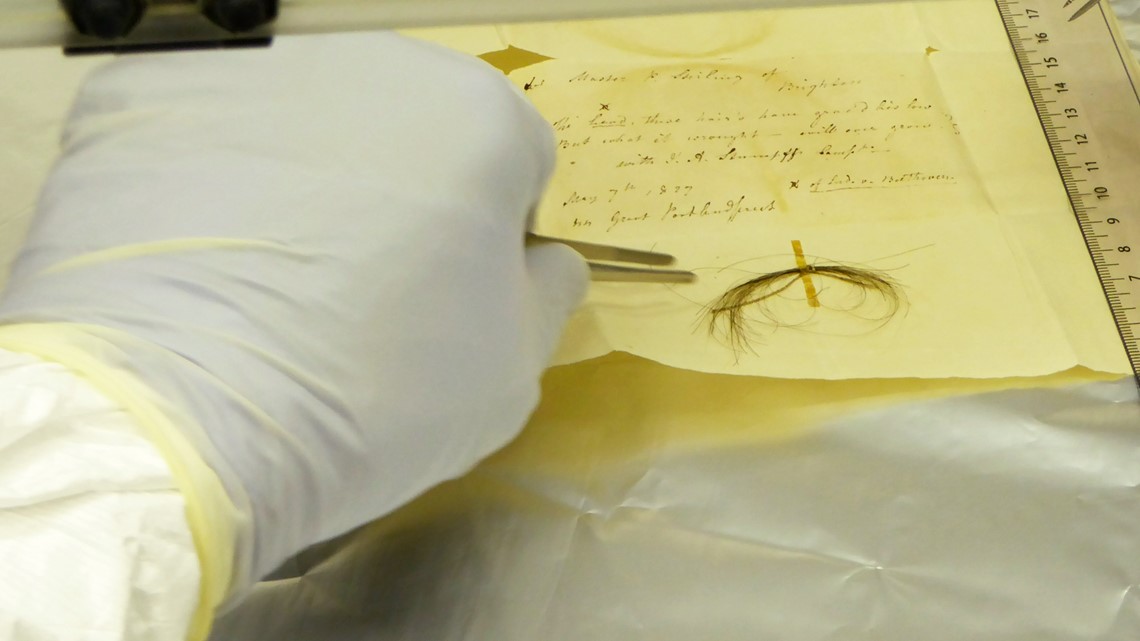 Beethoven's hair offers clues about composer's death - Vimarsana News