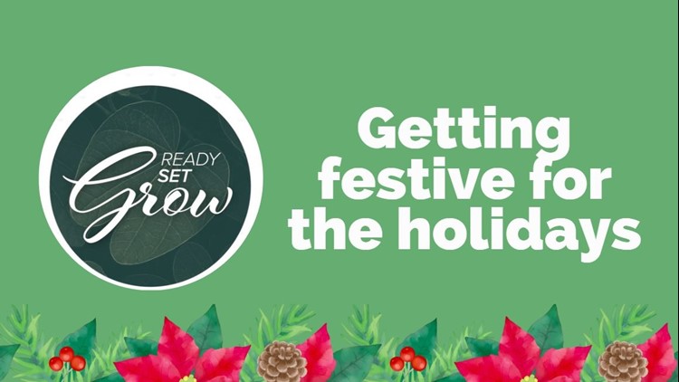 Ready, Set, Grow | Getting festive for the holidays