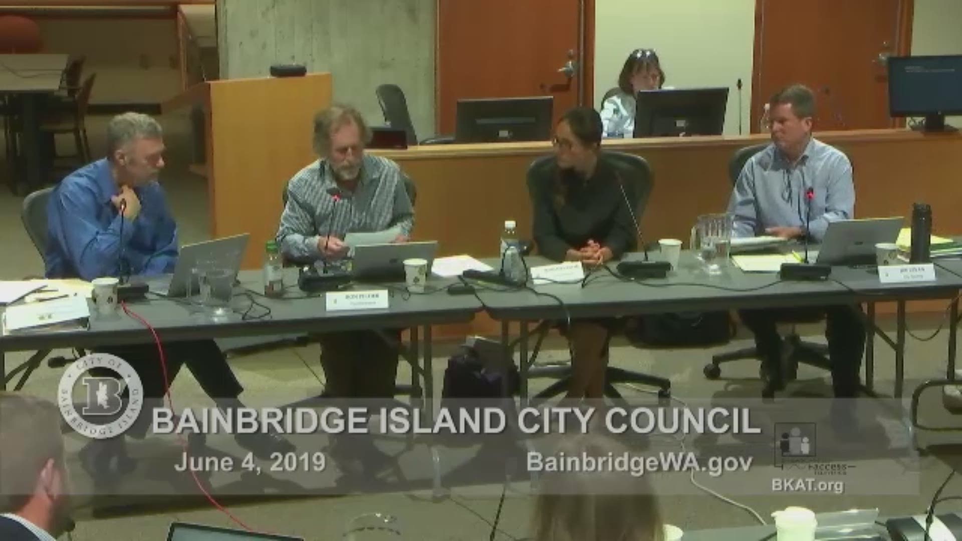 A city councilman in Bainbridge Island, Wash., proposed a declaration recognizing people who choose to not have kids.