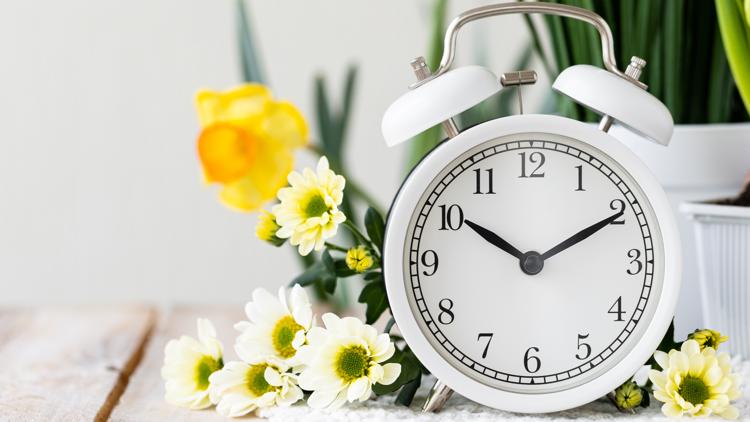Where each state stands on making daylight saving time permanent