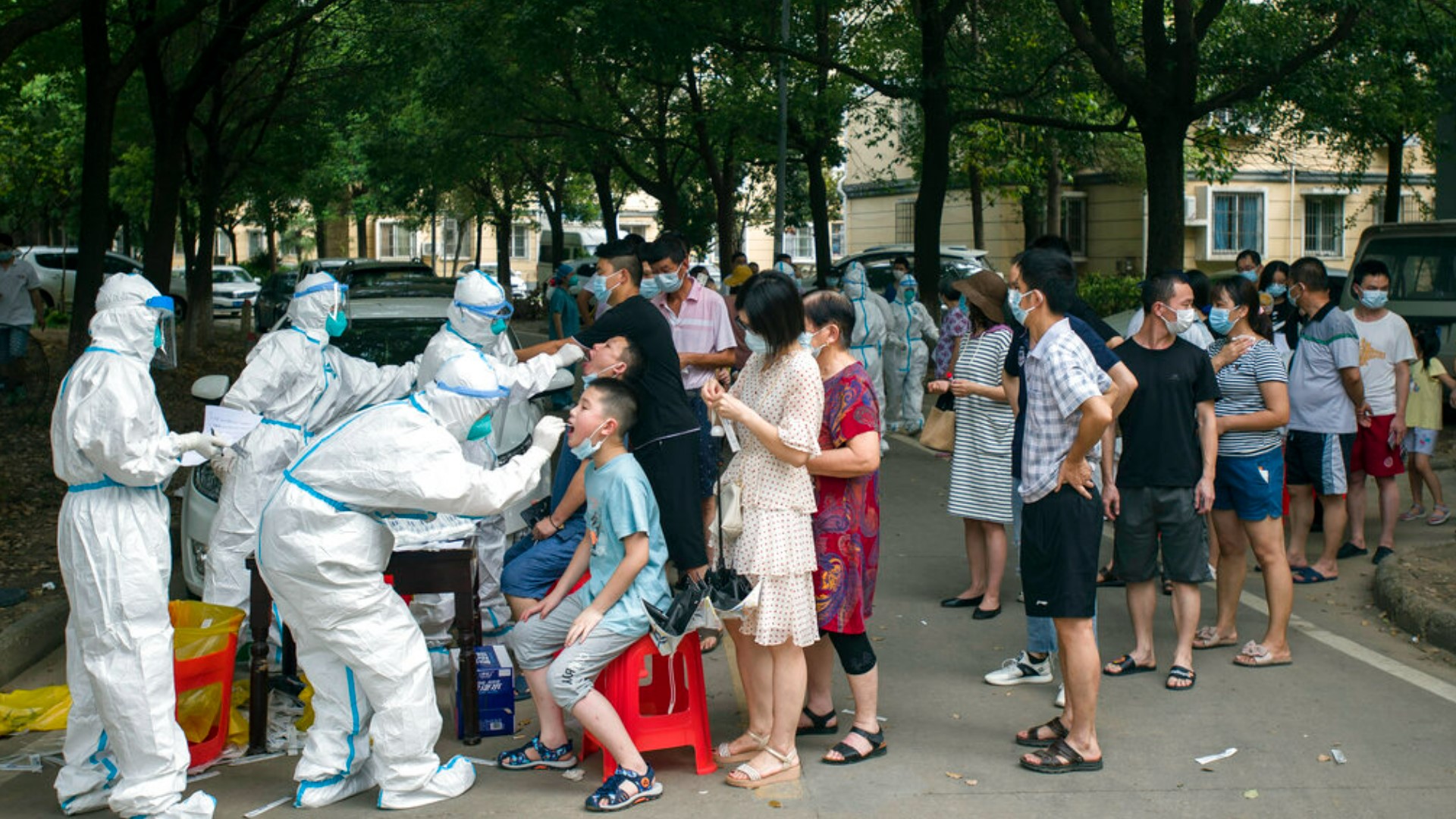 New studies support theory that COVID19 emerged from wild