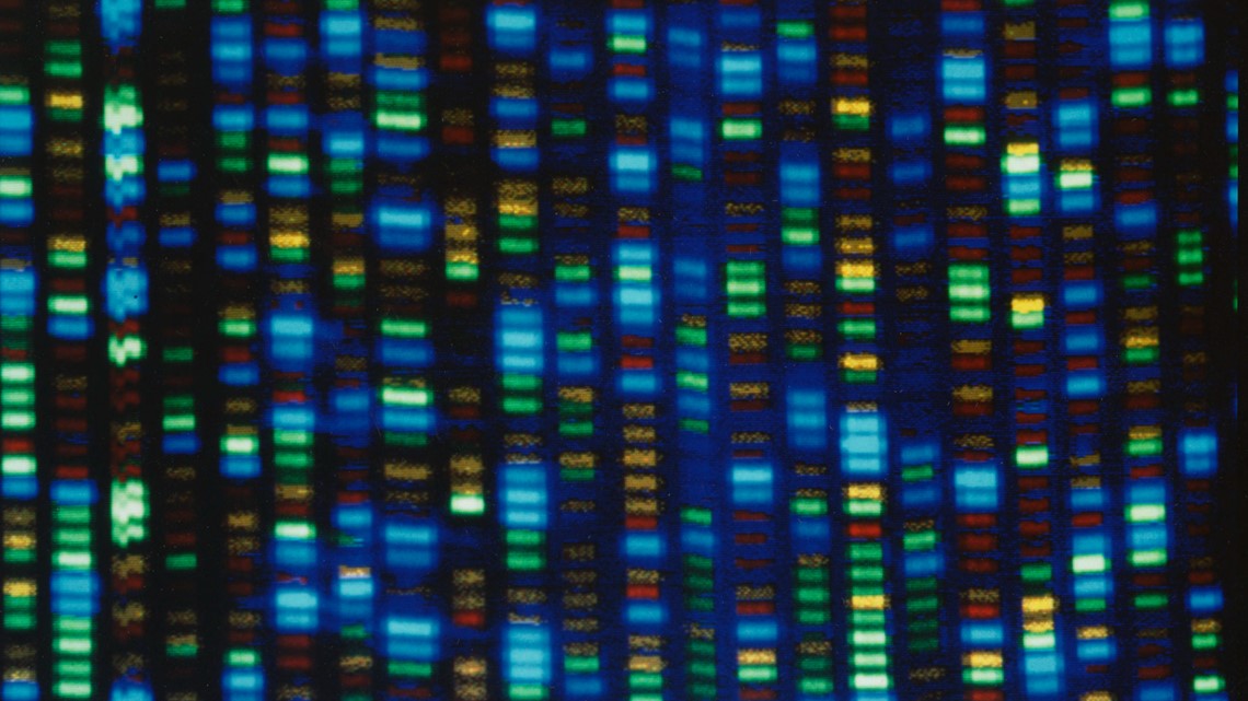 Human genome decoded fully | kiiitv.com - Vimarsana News