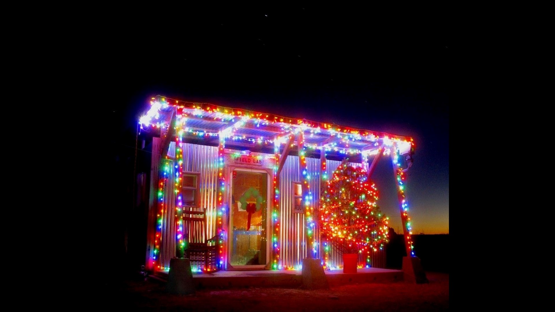 Make merry at these holiday-themed pop-up bars and restaurants | kiiitv.com