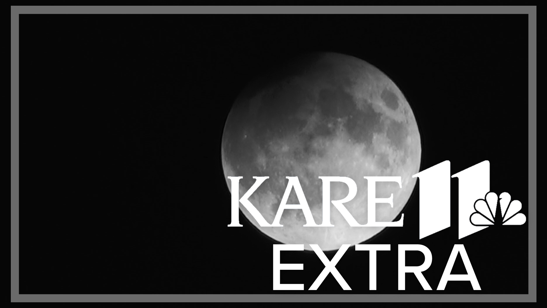 What if something catastrophic happened here on Earth? How would we recreate ecosystems destroyed? Scientists are betting the moon is the answer.