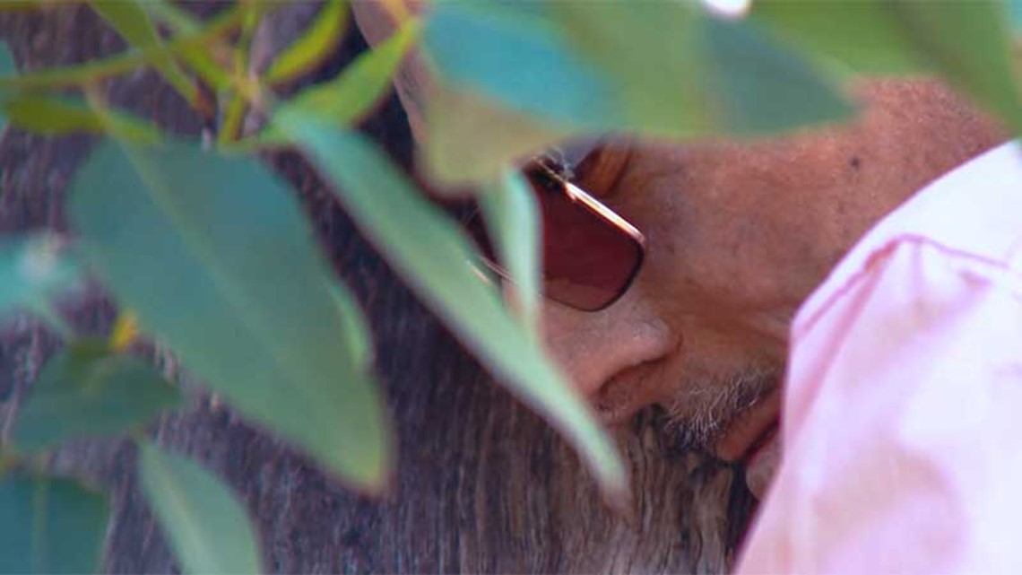 Texans say Miracle Tree helps people overcome medical challenges - Vimarsana News