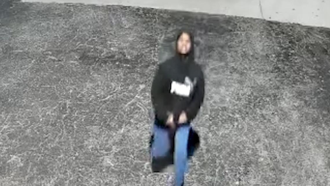 San Antonio Police, FBI Search For Vandal Who Has Been Targeting Local ...