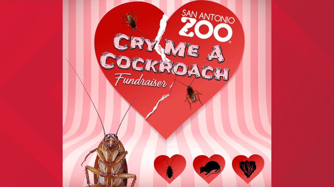 Need a Valentine's gift for your ex? 'Cry Me a Cockroach' is back