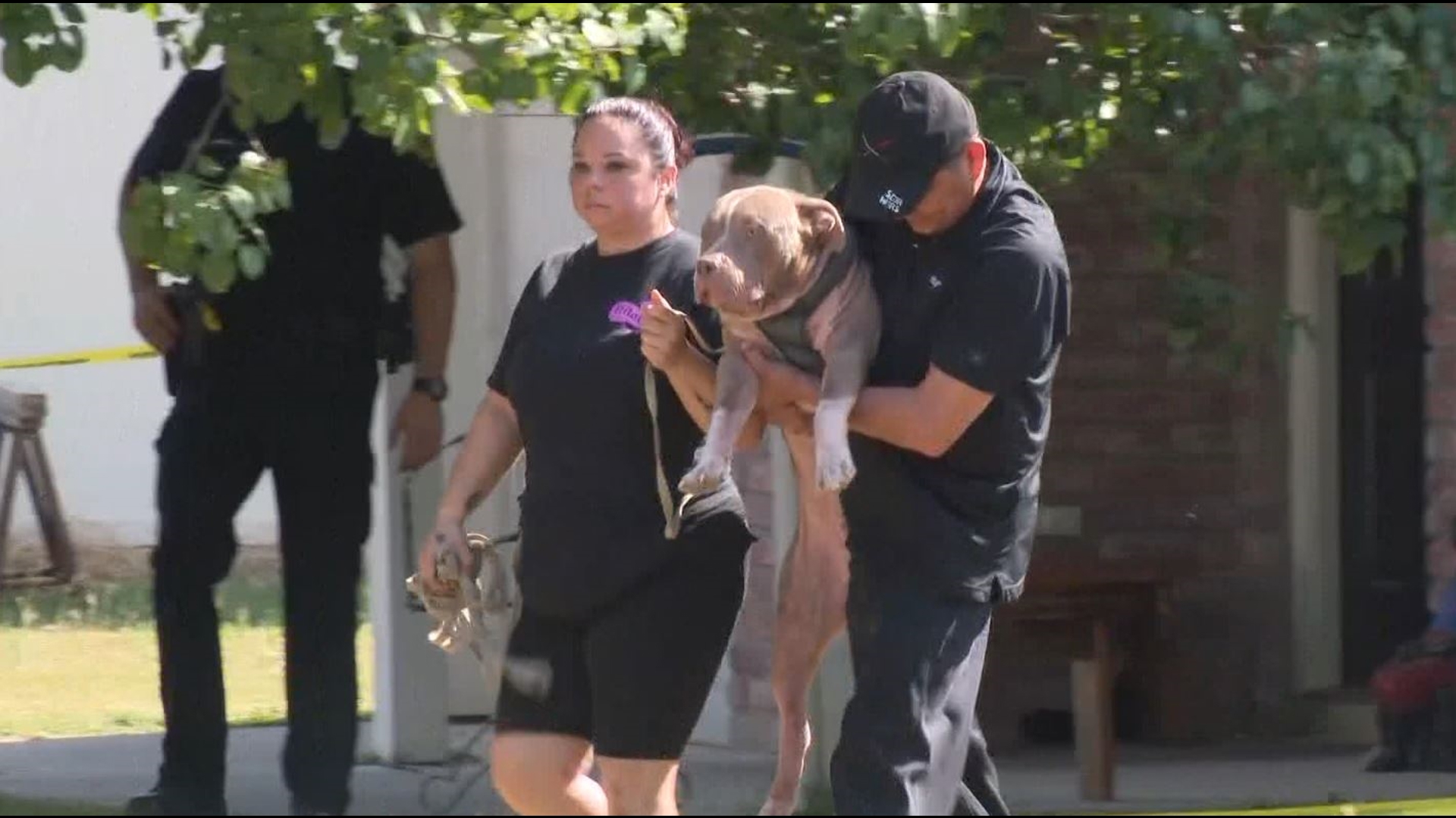 Baby boy seriously hurt after being mauled by dogs in Texas home