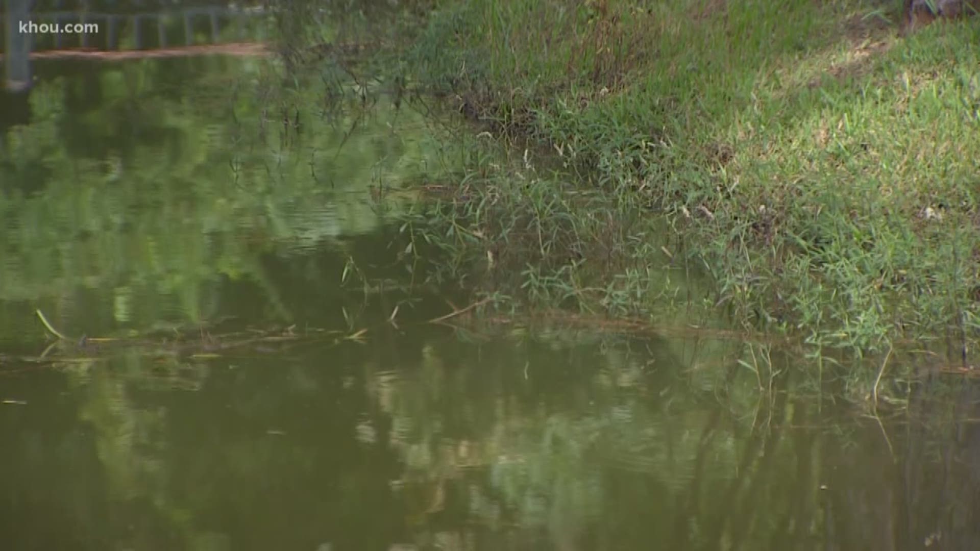 A 4-year-old girl who Harris County Sheriff's deputies said fell into a man-made pond at a Buddhist temple has died.