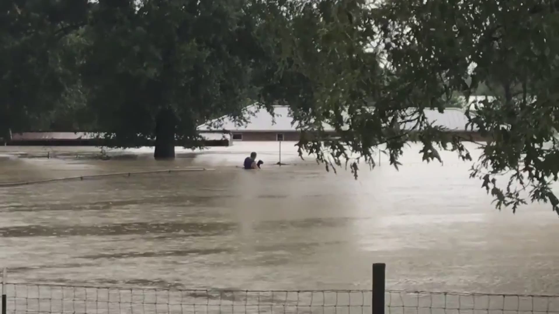 It was a heartbreaking scene near Kingwood as a man struggled through waist-deep water to rescue several animals. Water was halfway up the side of his house.