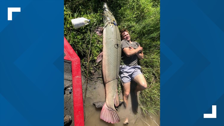 Angler lays next to record alligator gar caught at Lake Corpus Christi