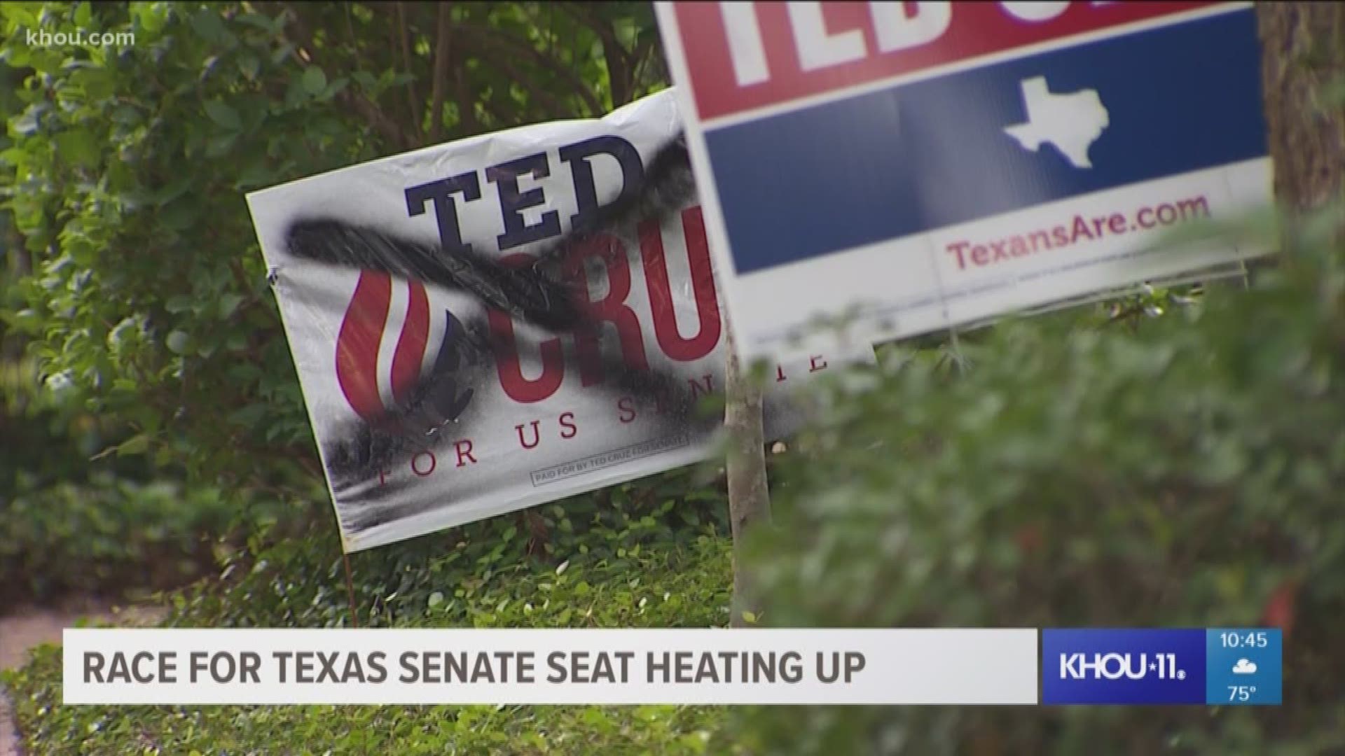 The race between Congressman Beto O'Rourke and Senator Ted Cruz is a heated battle. And in this west Houston neighborhood somebody is making clear whose side their on. He or she is going around and spray painting Cruz campaign signs.