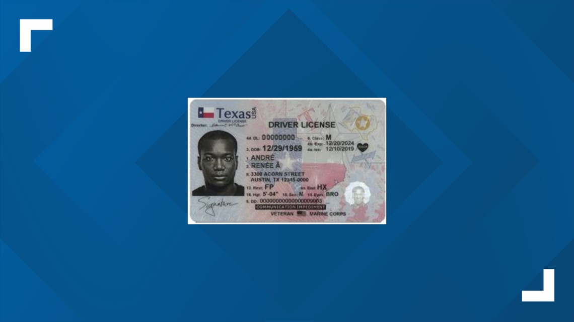 search drivers license number texas