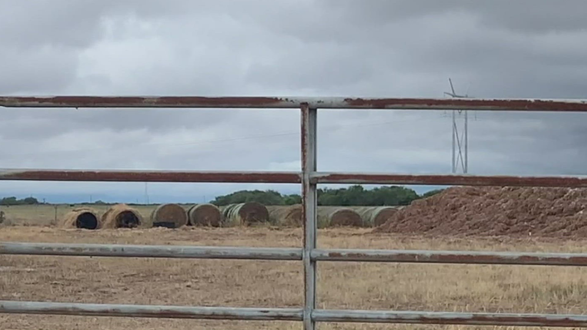 Farmers welcomed the rain as a result of Tropical Storm Harold.