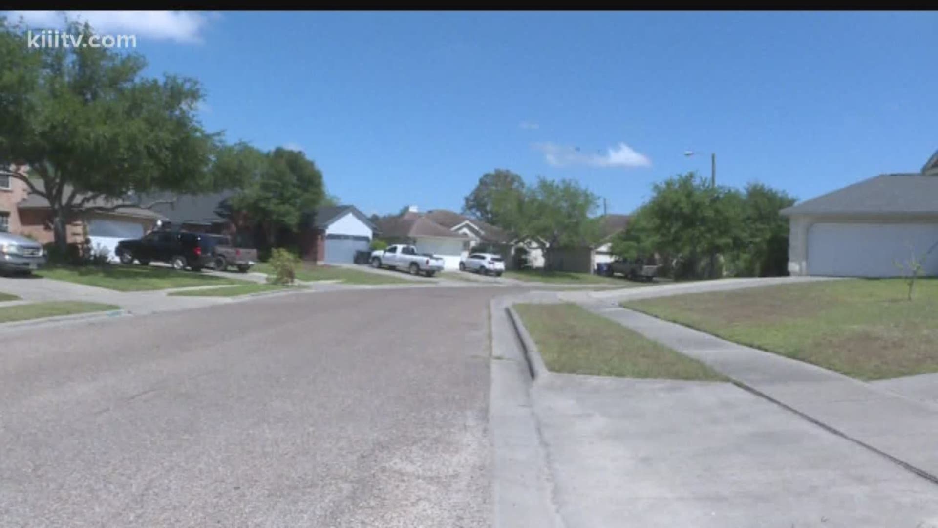 Corpus Christi police were called to the area Wednesday morning and said multiple vehicles were damaged, broken into and had items stolen from inside.