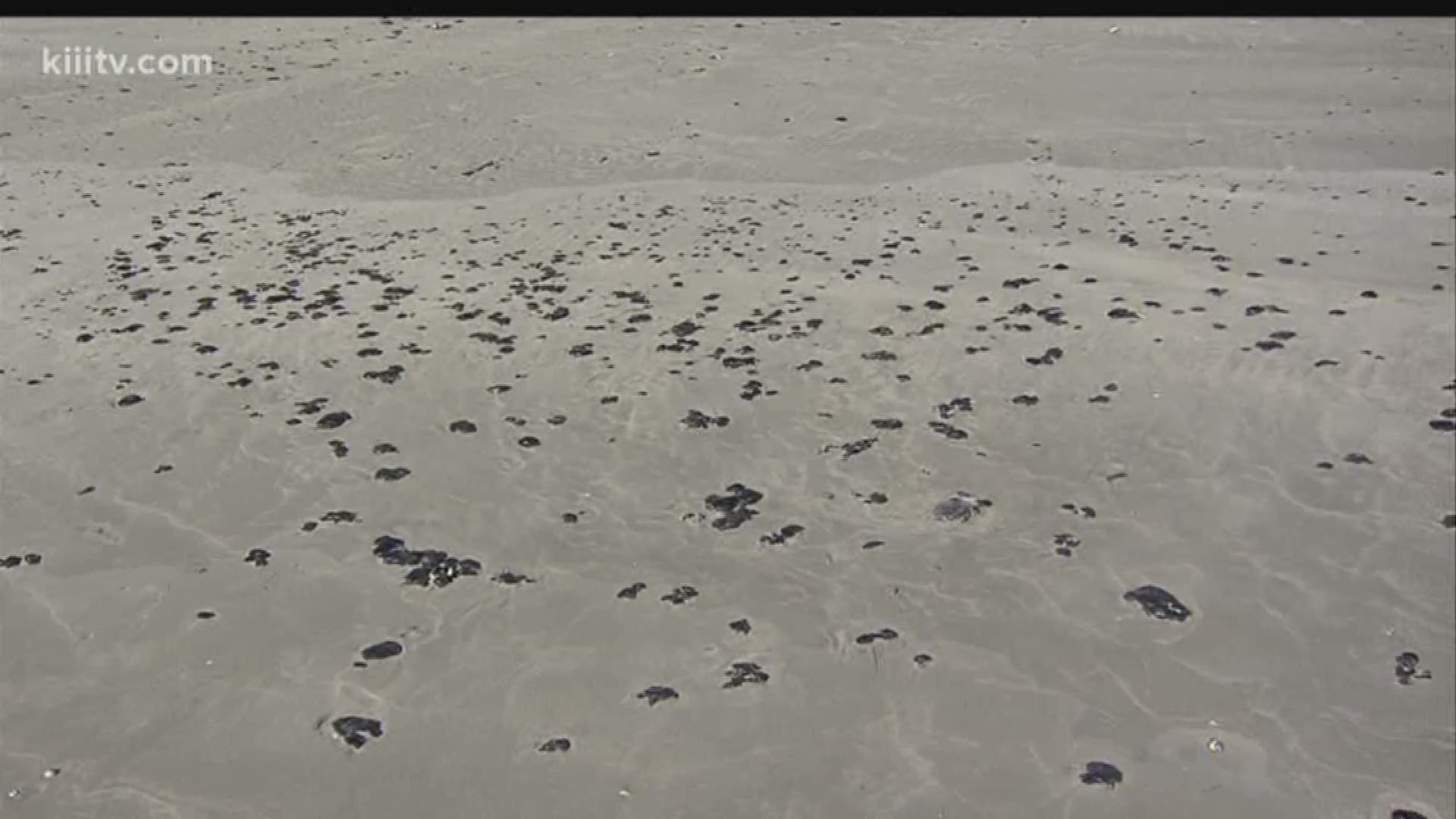 Tar builds up on South Texas beach