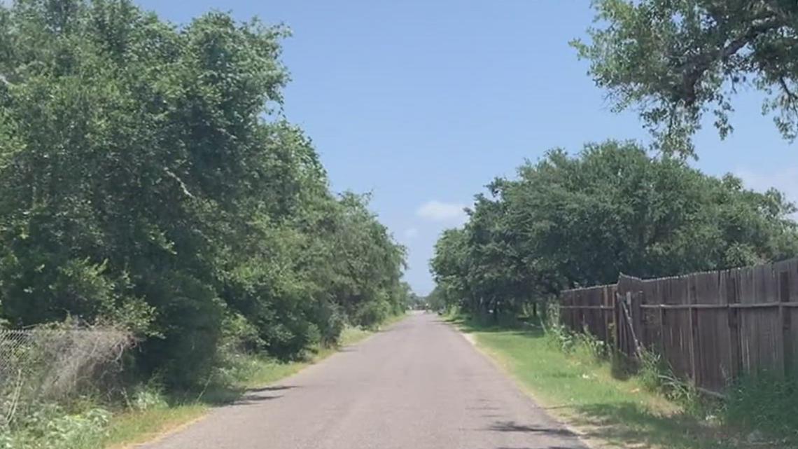 Dogs suspected of killing Rockport man found - Vimarsana News
