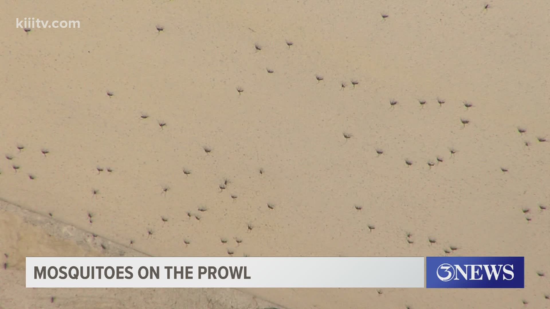A Nueces County resident said she and her family can't go outside during wet season because the mosquitoes are so bad.