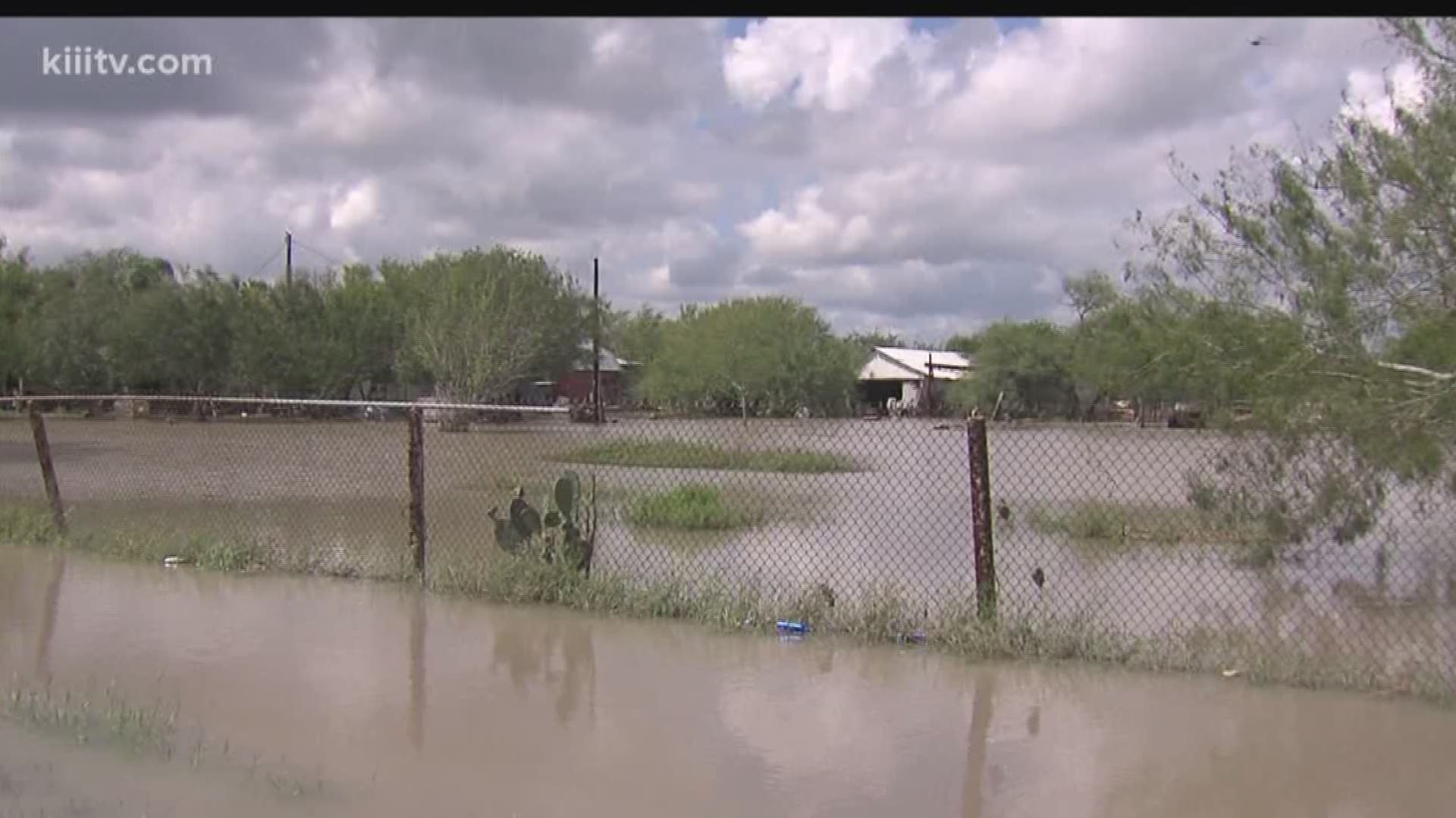 Runoff from fields leaves yards flooded in Petronila