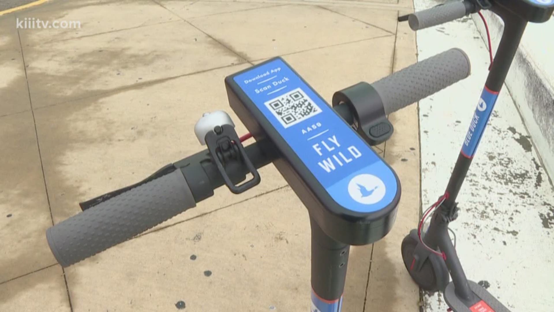 Last week Corpus Christi's city council approved an ordinance that would cost the rental companies $1 per day per scooter operating in the city. The companies were given 10 business days to sign the licensing agreement.