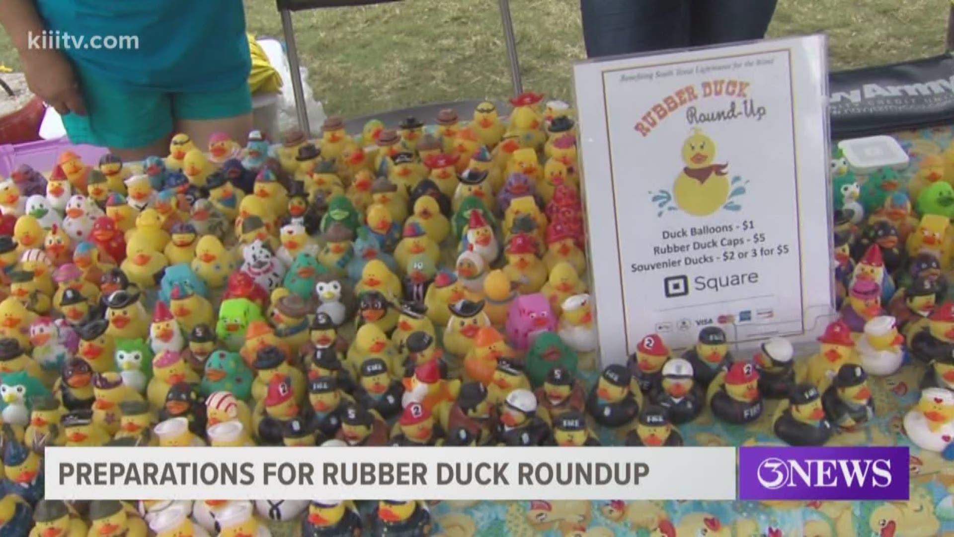 Thousands of rubber ducks are expected to take the plunge for the ninth annual Rubber Duck Roundup at Cole Park.