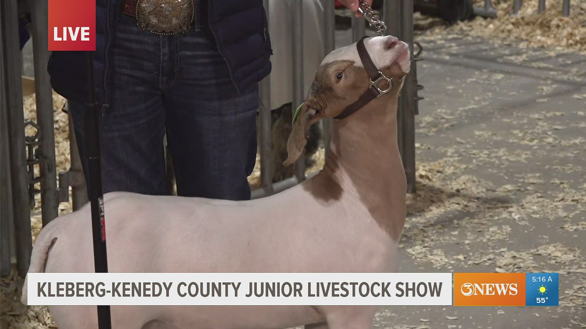 These middle school students say the work it takes to raise and care for their animals is good for the younger generation.