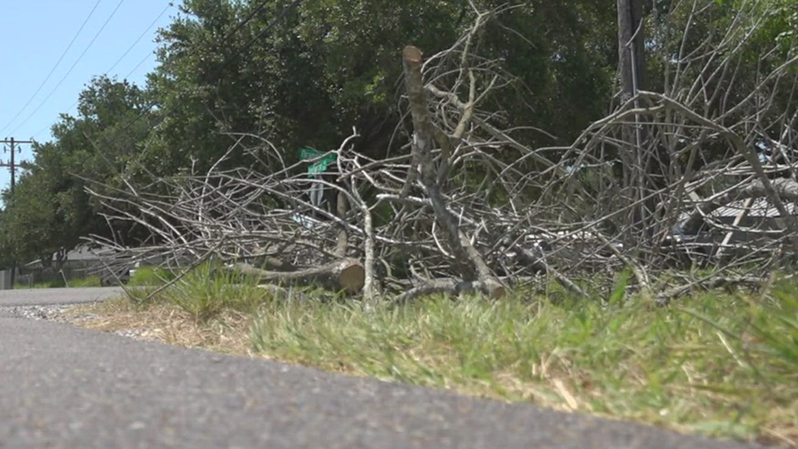Corpus Christi residents experience pickup delays for large brush - Vimarsana News