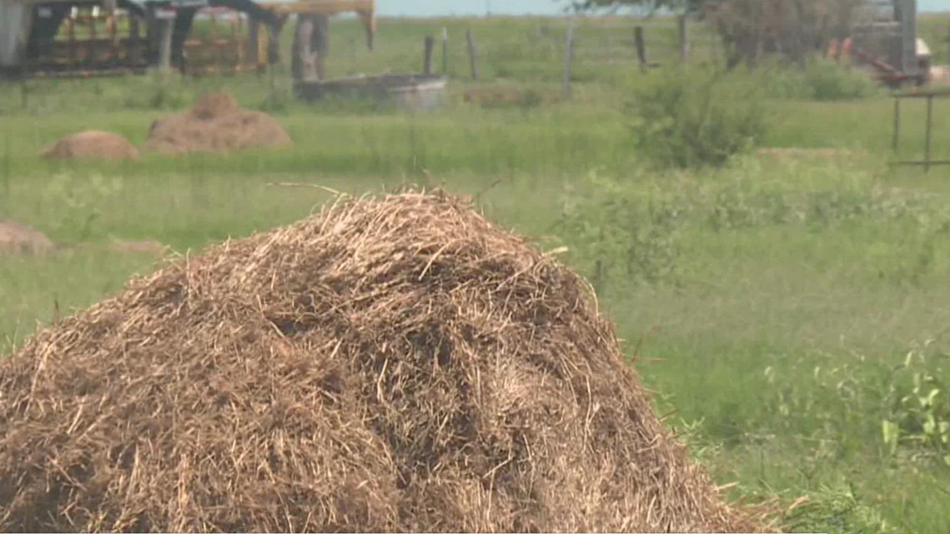 As preparations are in place for winter, the rain has given South Texas farmers a lot to look forward to.