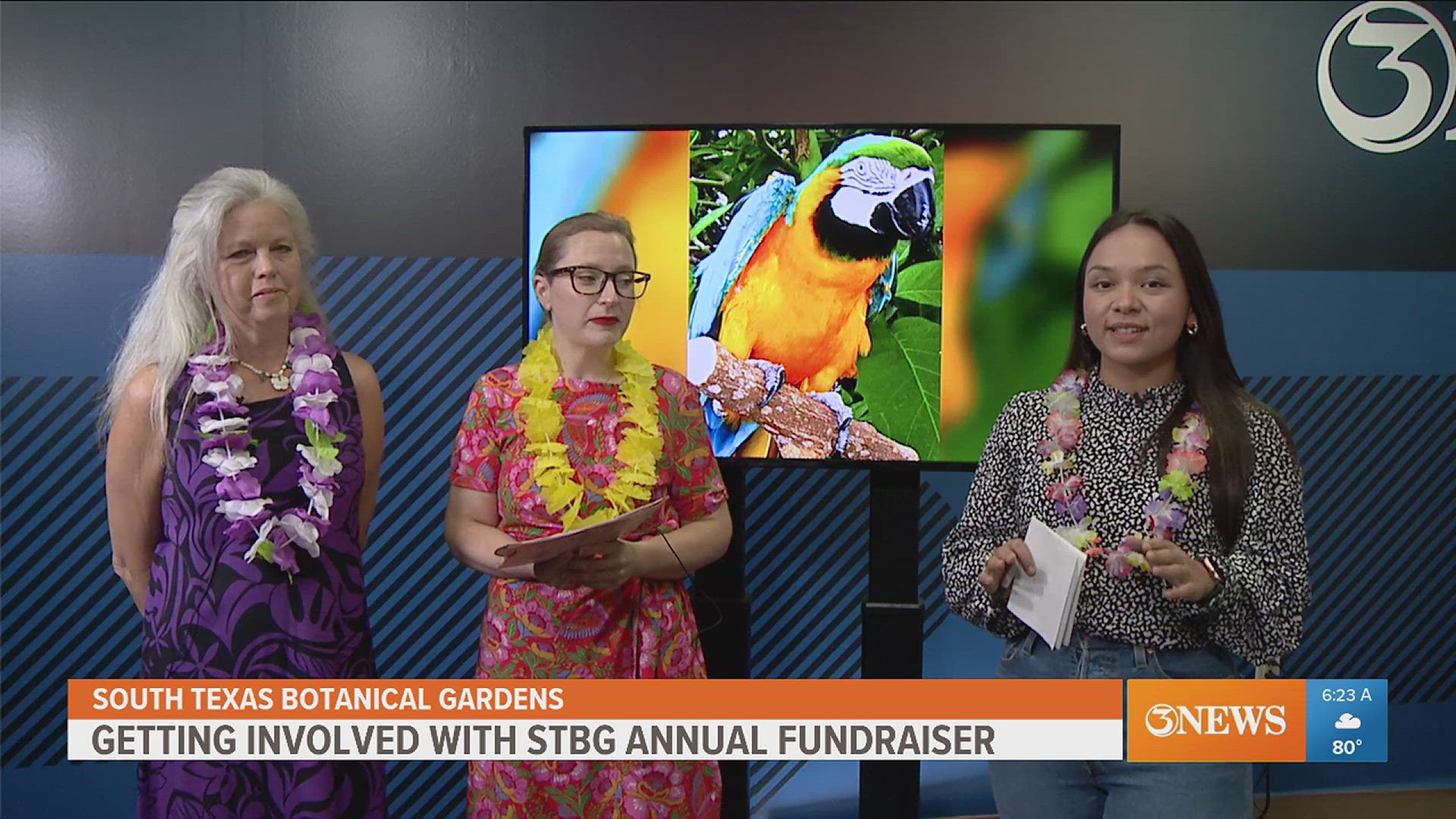 Are you ready for the the South Texas Botanical Gardens signature fundraiser? Their Luau in the Gardens event is happening on Oct. 4th and they want you to to join!