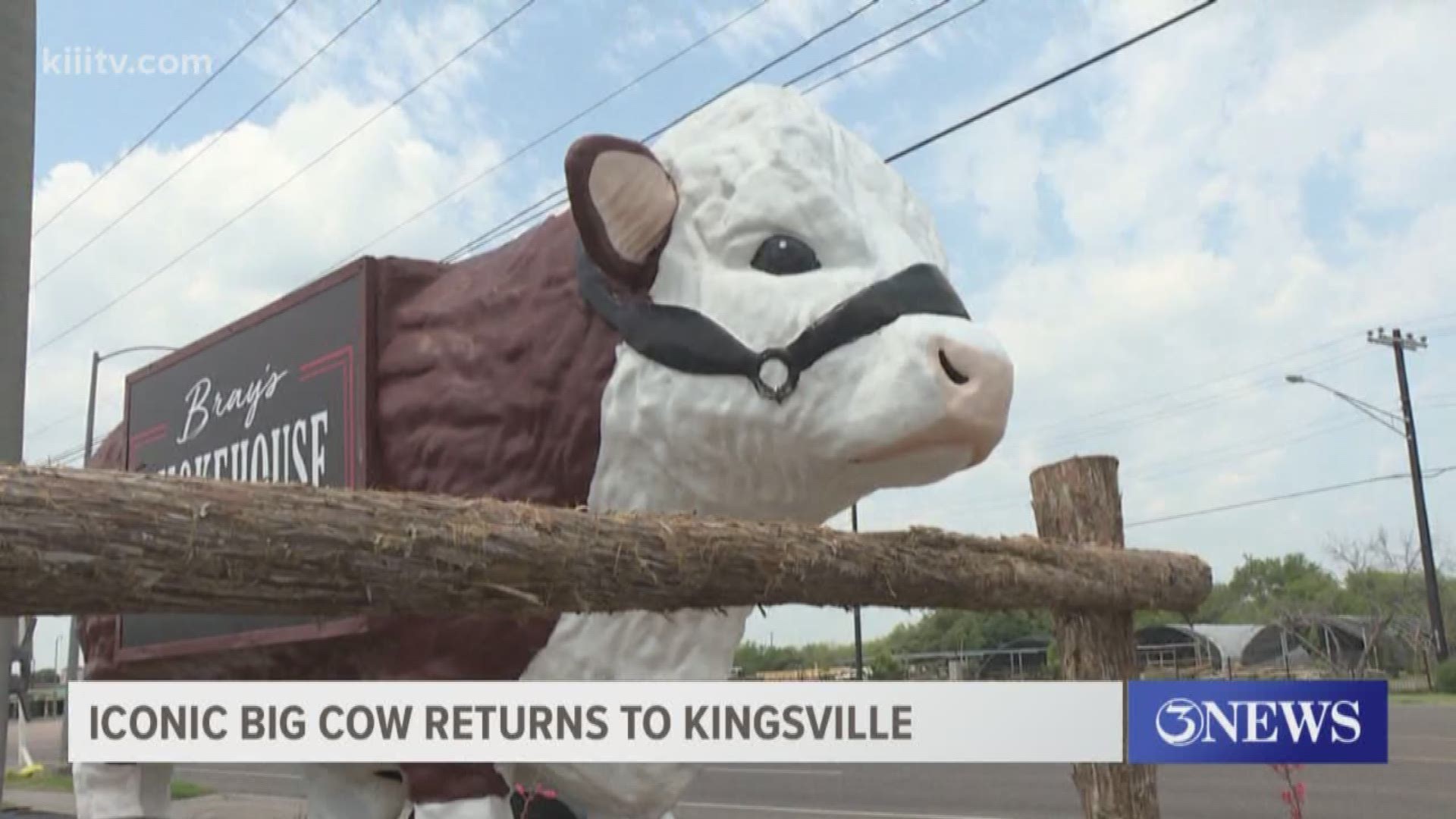 The cow stands 12'4" and is about 16 feet long. Its return is turning heads of drivers passing by and is also creating quite the frenzy on social media.