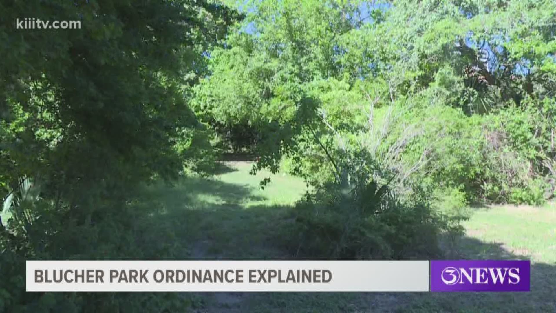 The ordinance was first presented last week and some residents said it's problematic.