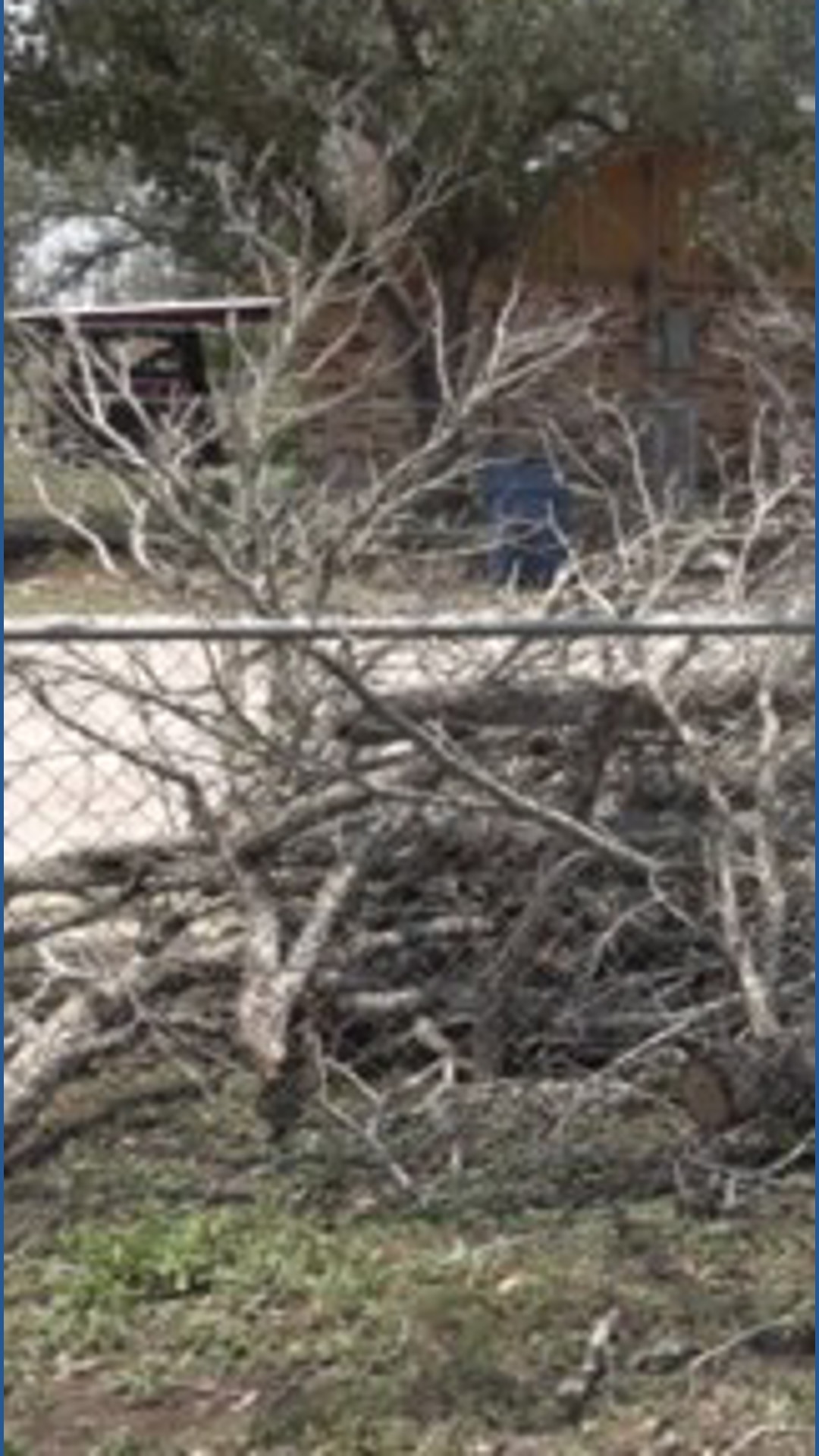 Severe Overnight Storms Leave Damage, Cleanup Efforts Underway in Freer ...
