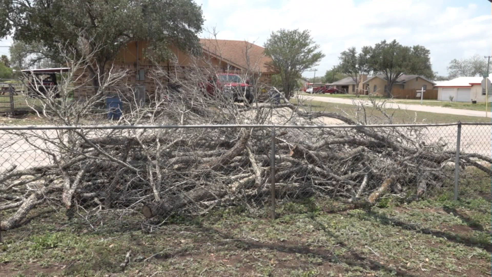 Severe Overnight Storms Leave Damage, Cleanup Efforts Underway in Freer ...