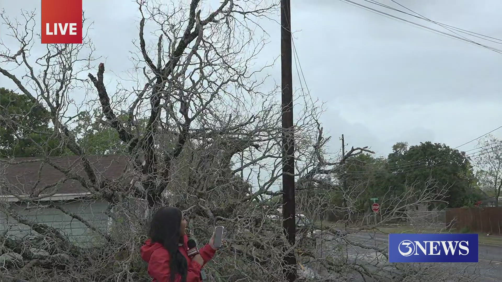 Tropical Storm Harold has seen damage around the Coastal Bend.