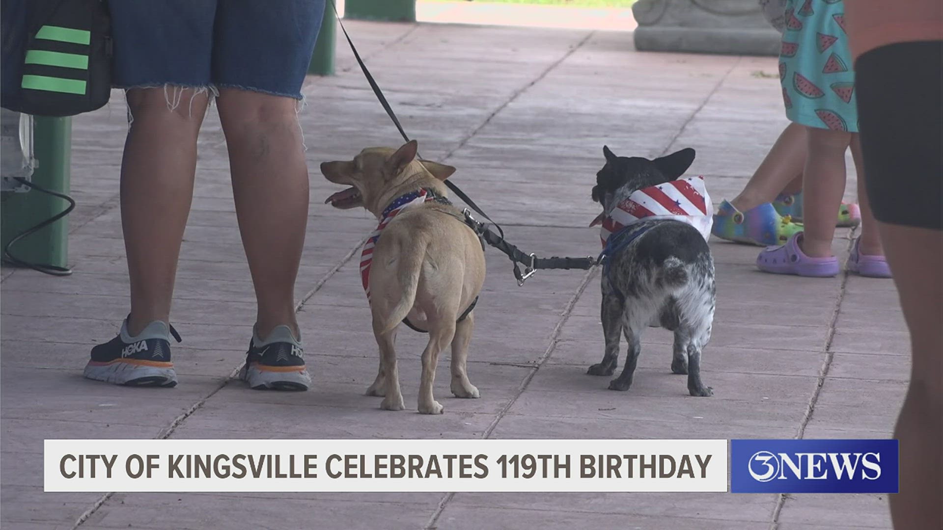 Four-legged friends joined in on the 4th of July fun.