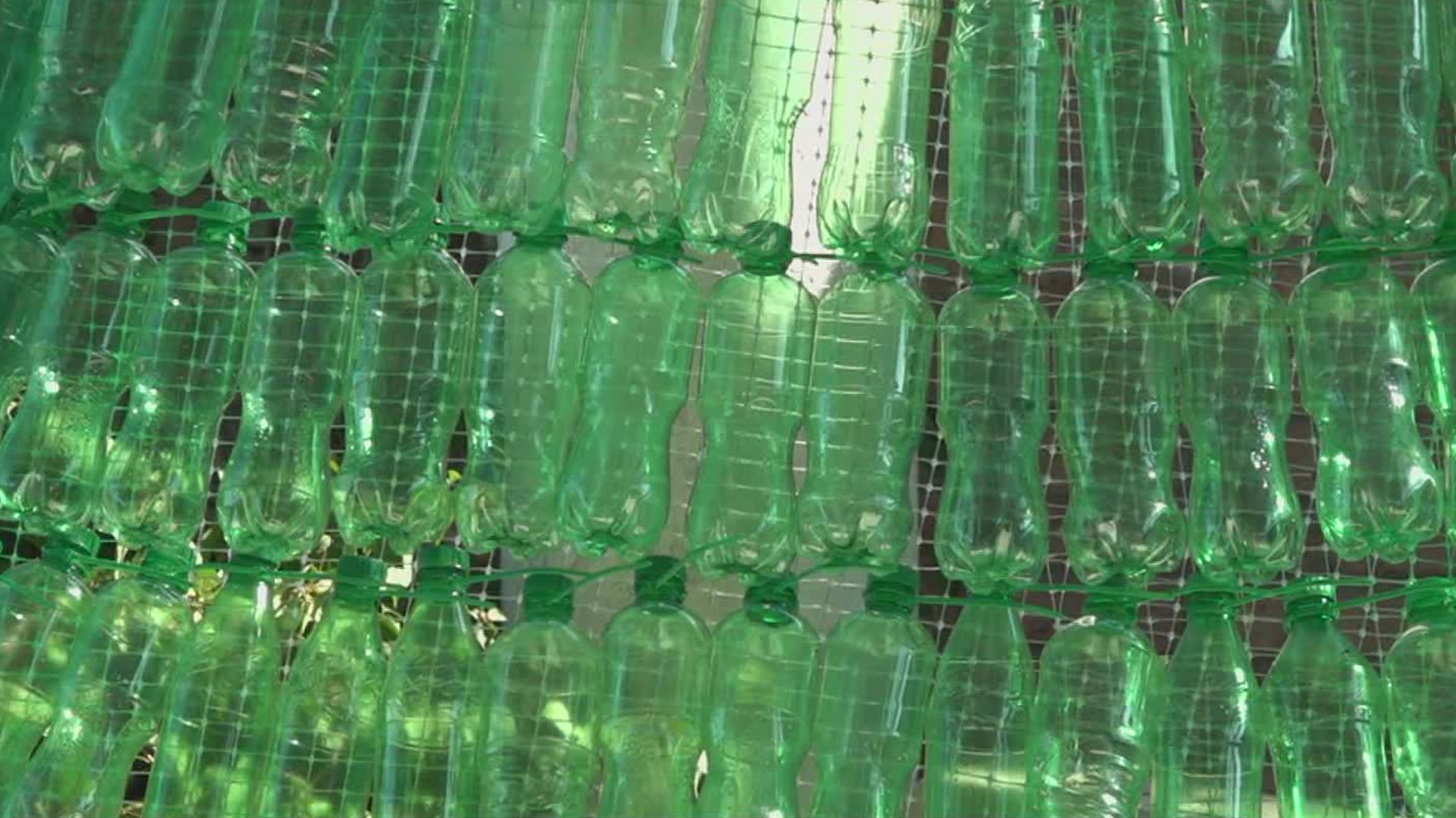 The project will consist of 4,000 green bottles.