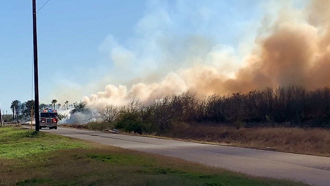 About 100 acres burn after fire breaks out at palm tree farm in