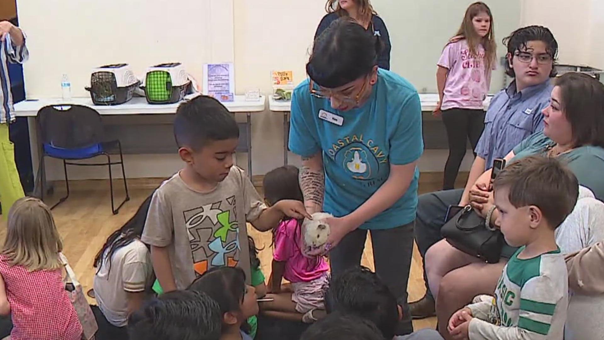 The Janet Harte library in Flour Bluff hosted "Guinea Pigs Galore", allowing families to hold and interact with animals and learn about their care.