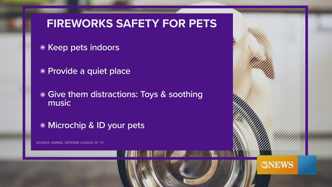 How to keep pets safe during Fourth of July fireworks | kiiitv.com