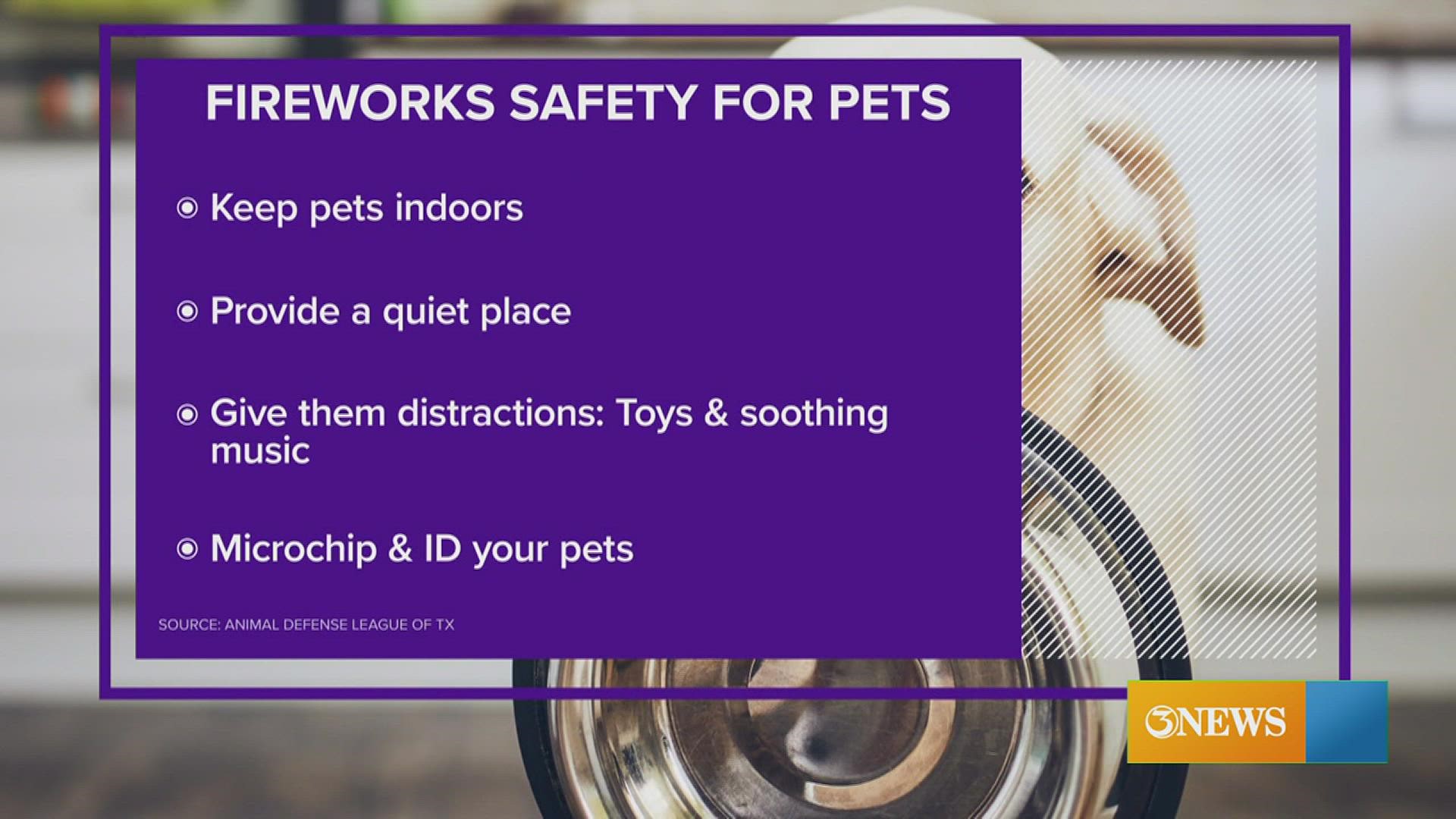 Be sure to keep close watch on your pets as they can get terrified of fireworks.