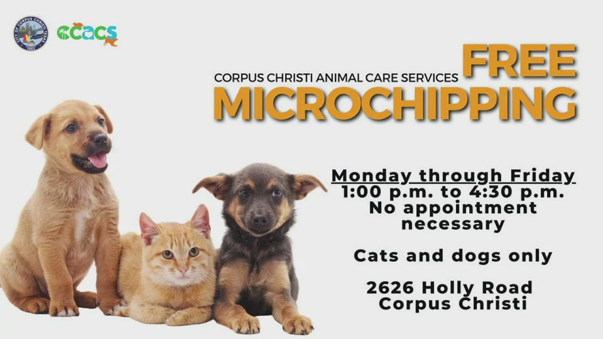 Corpus Christi Animal Care Services is helping make sure your pet can find you if they get lost.