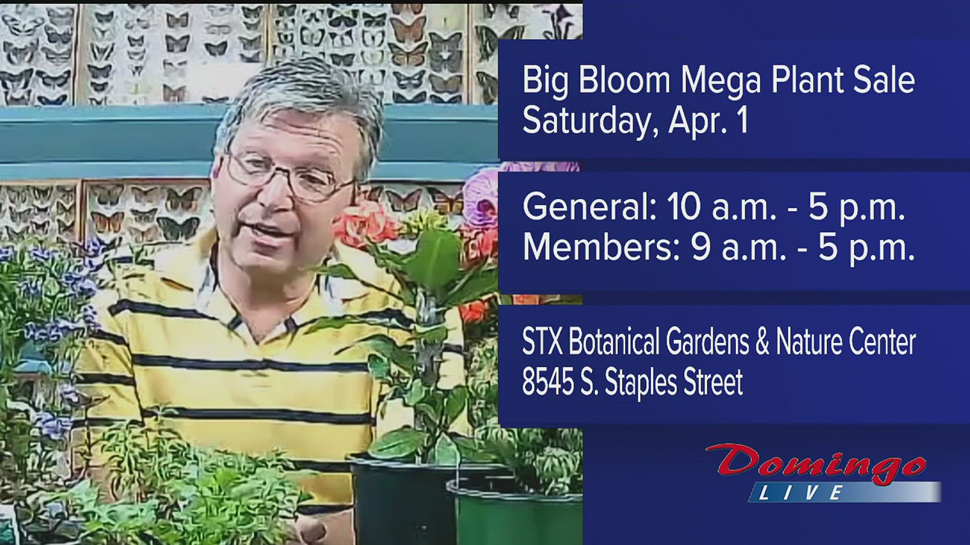 South Texas Botanical Gardens & Nature Center Exec. Director Dr. Michael Womack joined us live to invite the public to attend the Big Bloom Mega Plant Sale Apr. 1.