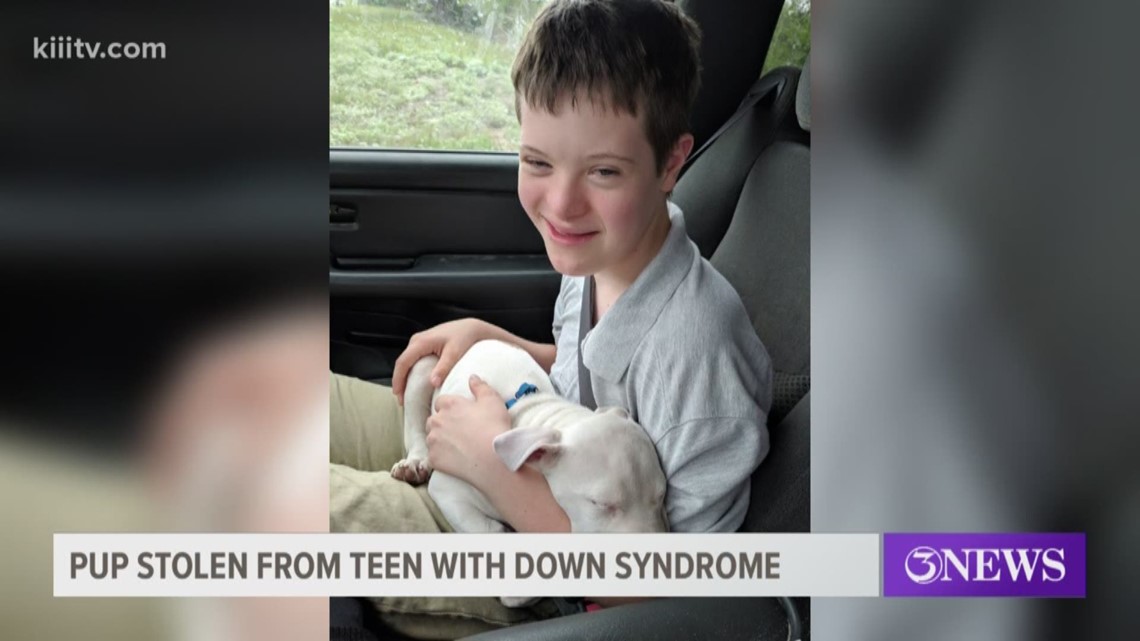 Pitbull puppy stolen from Aransas Pass boy with Down Syndrome