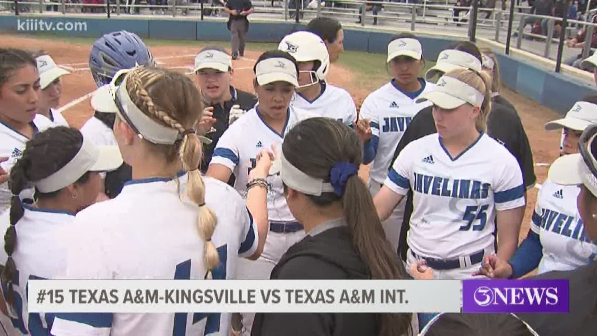 Texas A&M-Kingsville softball split it's home opener double-header with Texas A&M-International.