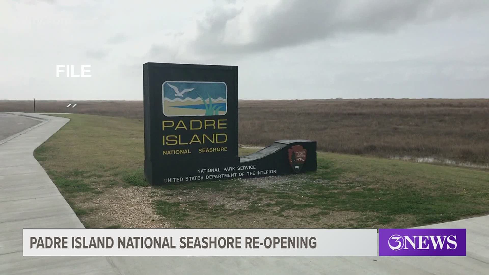 Swimming - Padre Island National Seashore (U.S. National Park Service)