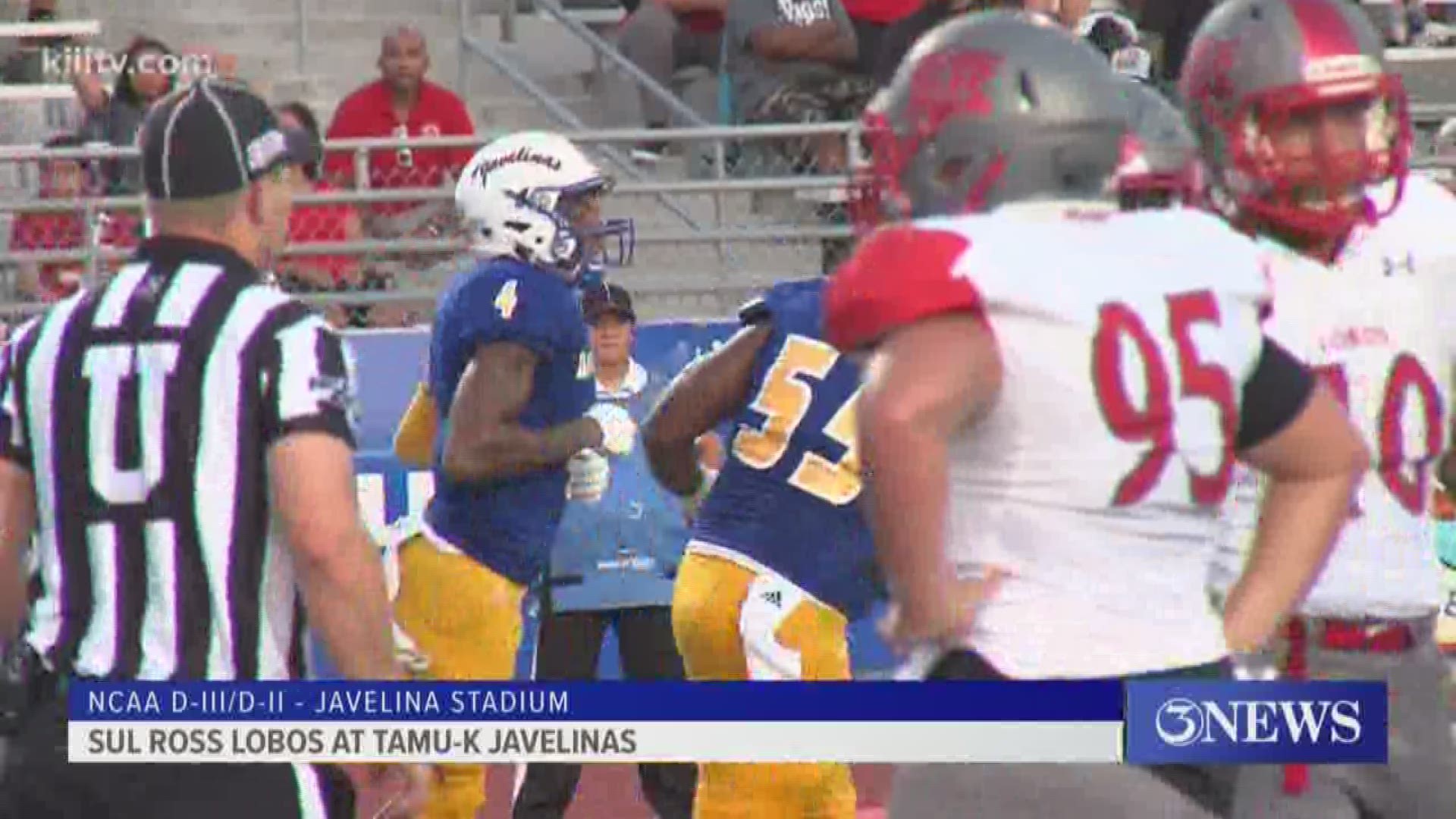 The Javelinas outgained the Lobos 600-97 en route to a dominating performance.
