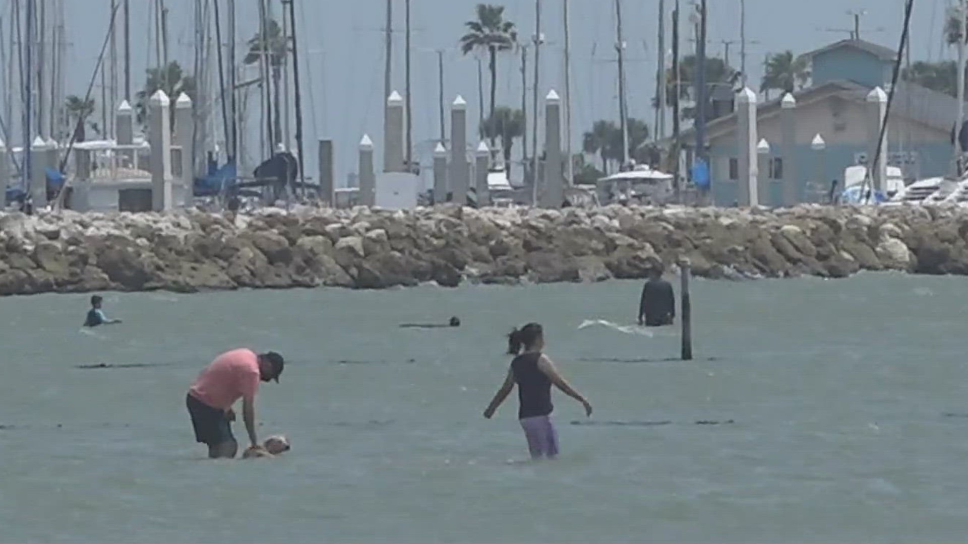 The Texas General Land Commissioner said she is finding ways to make the beach more accessible for those with disabilities.