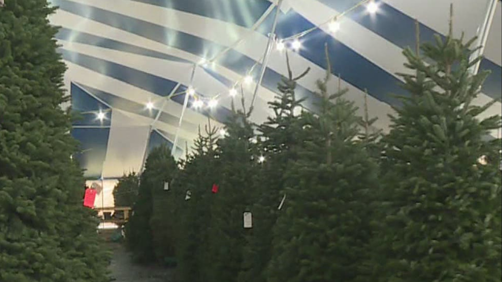 The iconic blue and white striped tent was set up a bit earlier this year.